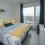 Penthouse On Charest - With Parking And Gym