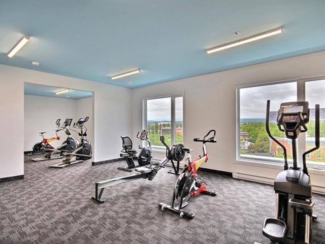 Penthouse On Charest - With Parking And Gym Apartment