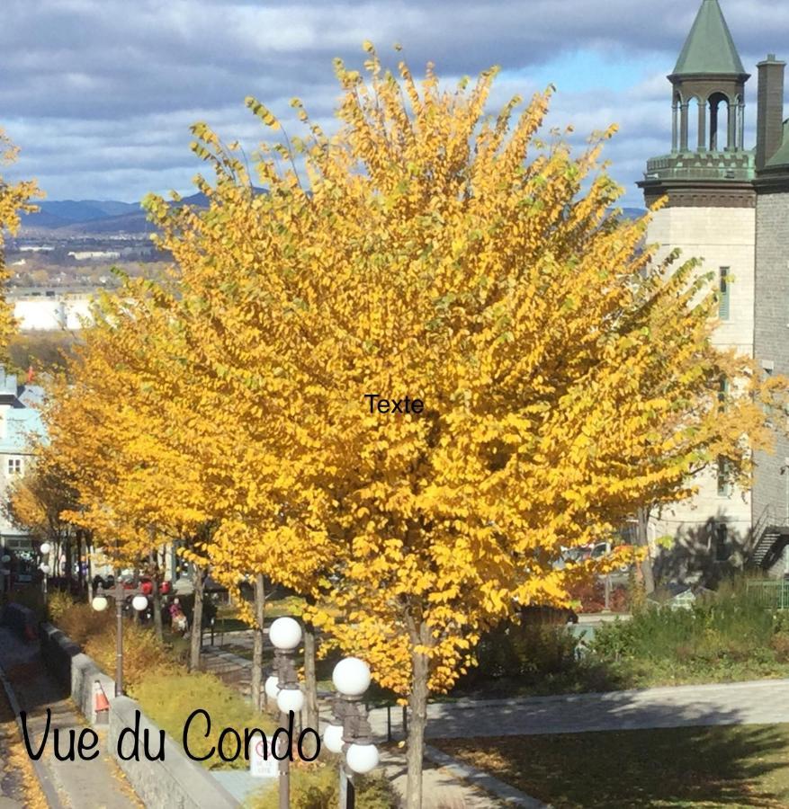 Apartment De Lux Le Meribel Du Vieux-quebec Quebec City