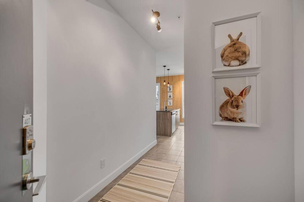 Apartment Initial / Lapin / Downtown Qc Quebec City