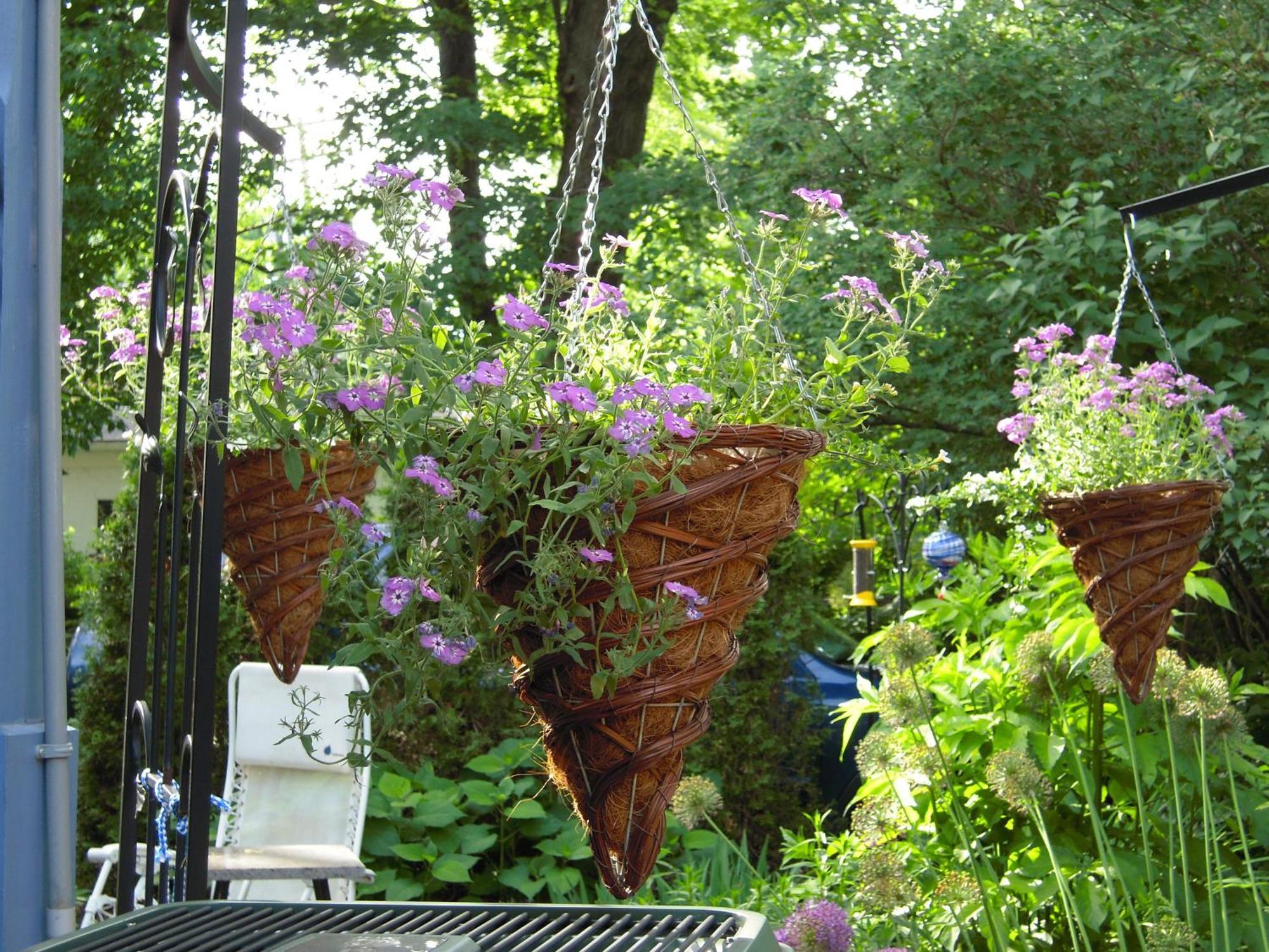 Bed & Breakfast L'arvidienne Couette Et Cafe 4*