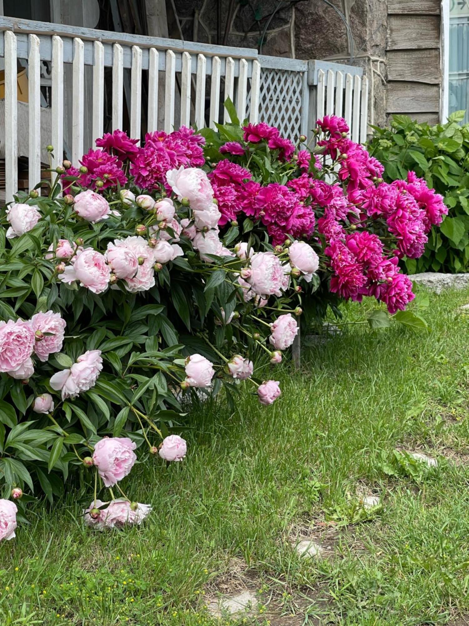 Le Jardin 2* Quebec City