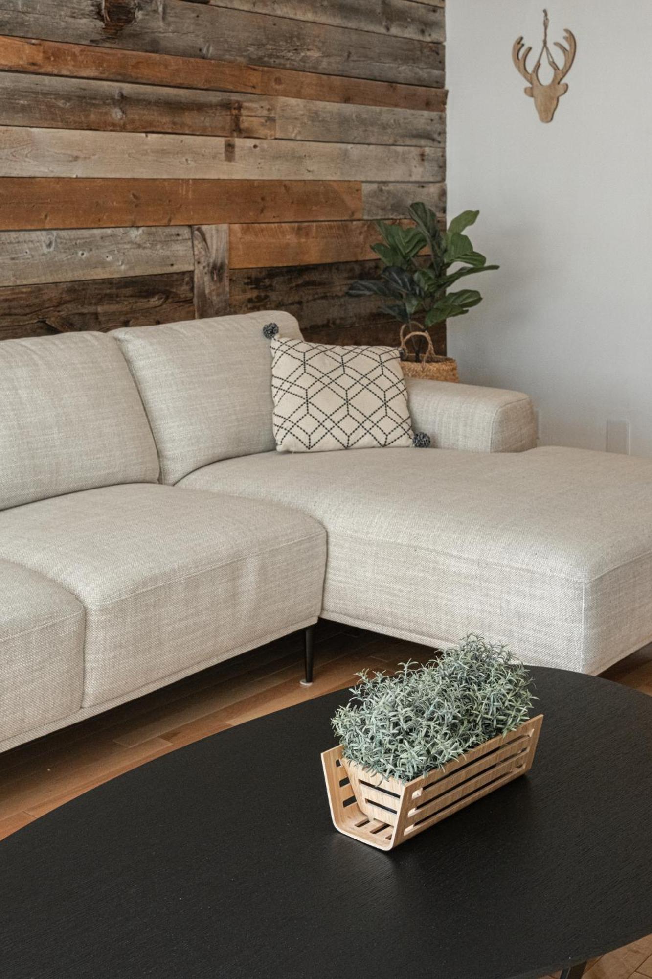 Lion's Den // Spacious 1500 Sqft Apartment *