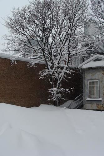 Au Petit Quebec City
