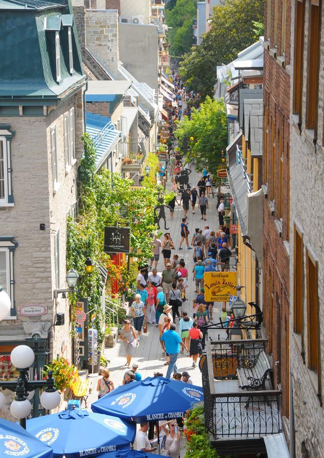 Hostel Jeunesse La Belle Planete Backpackers *